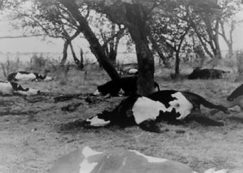 Las crónicas de Silvestre del Campo: “En secreto”