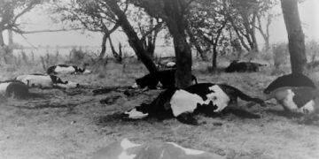 Las crónicas de Silvestre del Campo: “En secreto”
