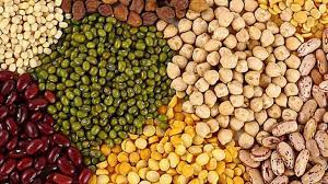 Sergio Rafaelli representa al sector del agro que más se alegra con el fenómeno vegano: los productores de legumbres