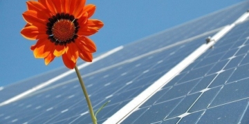 Agricultura alienta la incorporación de energías renovables en el campo: Ariel Mesch explicó cómo acceder a los fondos