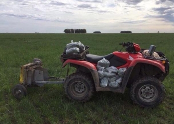 Los chicos de Kelpie manejan el “pasturómetro”: Sirve para medir el recurso forrajero y ajustar la carga animal