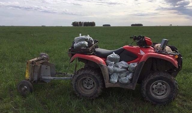 Los chicos de Kelpie manejan el “pasturómetro”: Sirve para medir el recurso forrajero y ajustar la carga animal