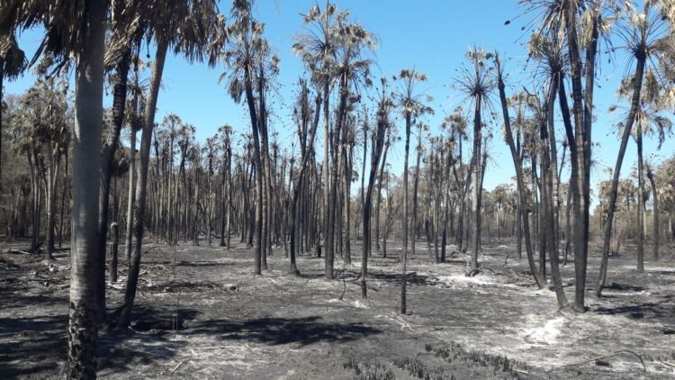 Formosa amenazada por la sequía: “Mirás a los costados y ves fuego permanente”, relató Roberto Consolani