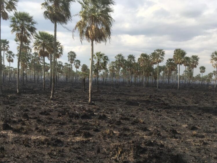 Formosa amenazada por la sequía: “Mirás a los costados y ves fuego permanente”, relató Roberto Consolani