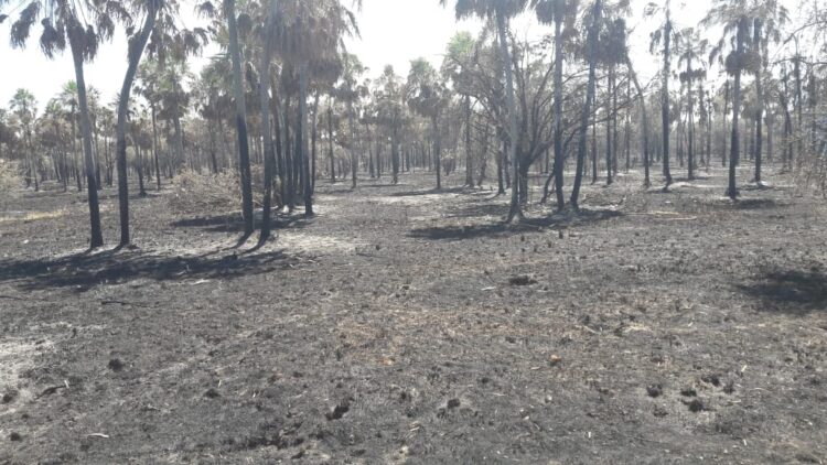 Formosa amenazada por la sequía: “Mirás a los costados y ves fuego permanente”, relató Roberto Consolani