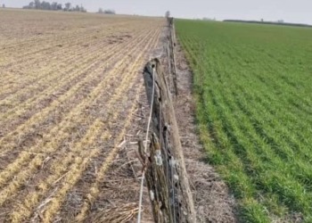 Leo de Benedictis no esquiva las malas noticias: “No se puede hablar de que se corte la sequía”