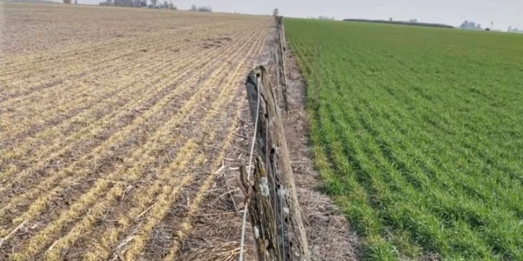 Leo de Benedictis no esquiva las malas noticias: “No se puede hablar de que se corte la sequía”