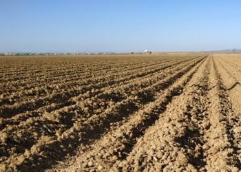 La Facultad de Agronomía presentó los mapas de la sequía: Podrían agravarse el próximo trimestre