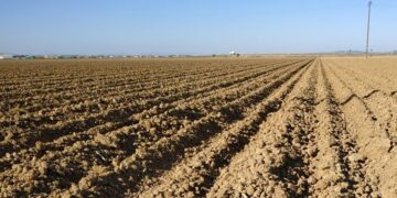 La Facultad de Agronomía presentó los mapas de la sequía: Podrían agravarse el próximo trimestre