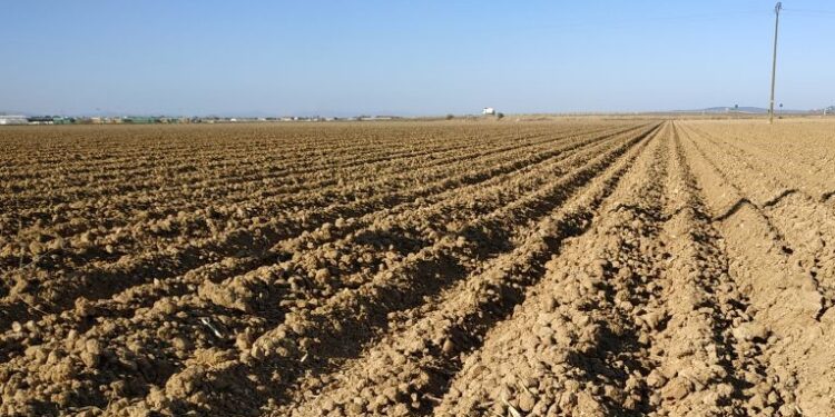 La Facultad de Agronomía presentó los mapas de la sequía: Podrían agravarse el próximo trimestre