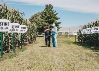¿Qué es Stine? La empresa que desarrolló la genética de soja en EE.UU. y desembarcó en la Argentina a pesar de que no haya una ley de semillas