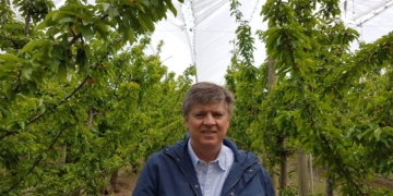 Adolfo Storni habla con crudeza de la decadencia de la fruticultura argentina: “Exportamos la mitad que hace 10 años, cuando todo el mundo creció”