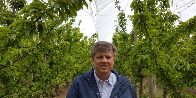 Adolfo Storni habla con crudeza de la decadencia de la fruticultura argentina: “Exportamos la mitad que hace 10 años, cuando todo el mundo creció”