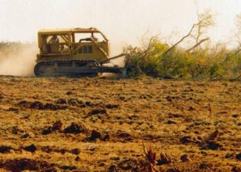 El mapa de la presión ambiental: La agricultura y la ganadería no zafan de ciertas culpas