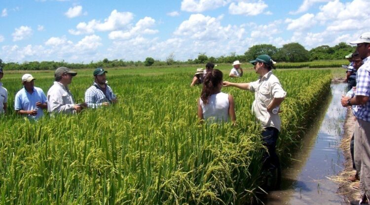 Ley de Humedales: “Hagan lugar en el conurbano para 800 mil correntinos” por si prospera esa norma, desafía Jorge Vara