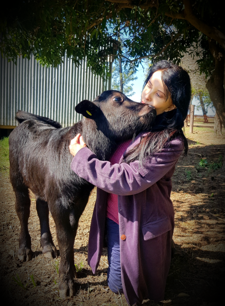 Nilda Silva vivía en la ciudad y terminó a cargo del único centro de inseminación bubalino: “Con los búfalos la clave es el cariño”, afirma