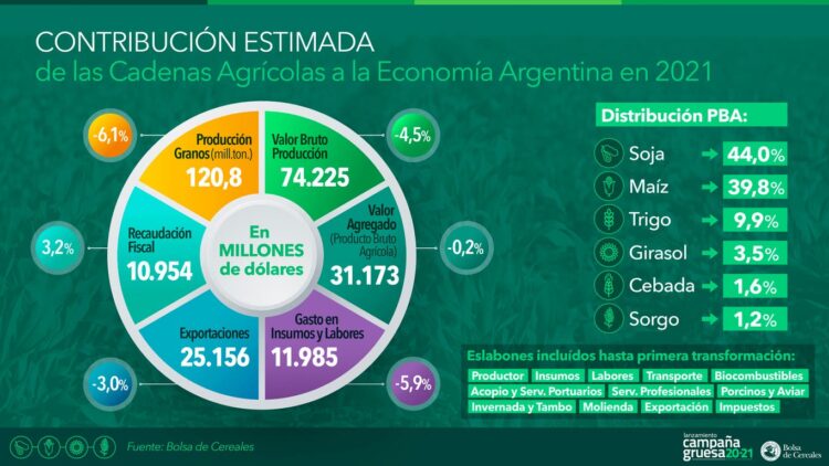 Si las lluvias acompañan, para 2021 habría una cosecha de 120 millones de toneladas y exportaciones por 25.000 millones de dólares