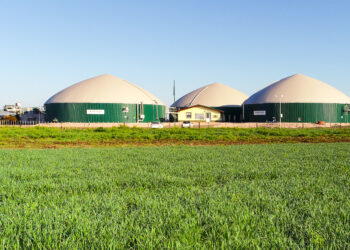 Adecoagro ya está lista para vender sus primeros bonos de carbono: Lisandro Ferrer nos contó este largo proyecto verde y redituable