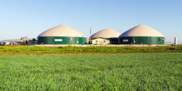 Adecoagro ya está lista para vender sus primeros bonos de carbono: Lisandro Ferrer nos contó este largo proyecto verde y redituable