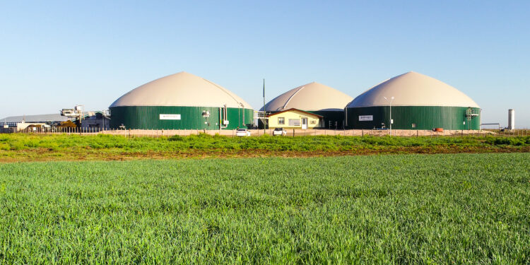 Adecoagro ya está lista para vender sus primeros bonos de carbono: Lisandro Ferrer nos contó este largo proyecto verde y redituable