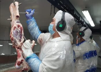 La escuelita de oficios de Hughes: Un frigorífico santafesino brinda capacitaciones para los jóvenes de la zona