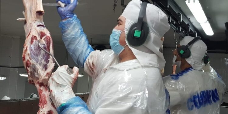 La escuelita de oficios de Hughes: Un frigorífico santafesino brinda capacitaciones para los jóvenes de la zona