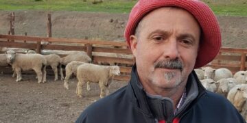 De la seca a la nevada: Pablo Sorasio impulsó una movida solidaria para los productores ovinos de la Patagonia