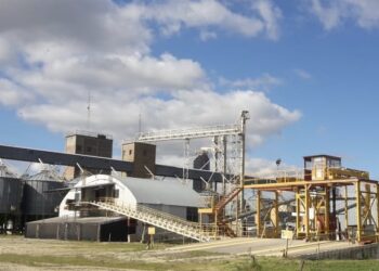 Las dos vidas de La Ballenera: La vieja planta de Nidera reabrirá de la mano de una empresa ligada a Bioceres