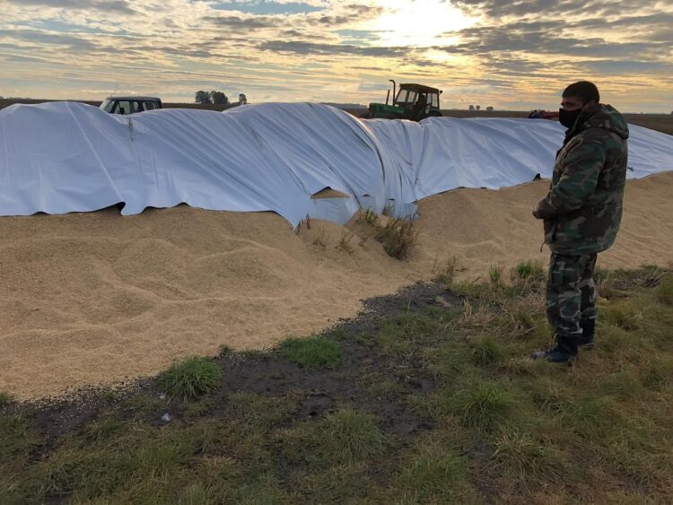 Lucila Lehmann es diputada opositora y agropecuaria: “Desde que asumió Alberto no hubo una sola buena noticia para el sector”