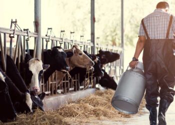 A Javier de la Peña le preocupa quién sigue con la lechería: “Hay una generación de chicos que se acostumbró a que el tambo era mala palabra”