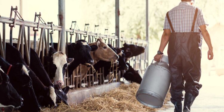 A Javier de la Peña le preocupa quién sigue con la lechería: “Hay una generación de chicos que se acostumbró a que el tambo era mala palabra”