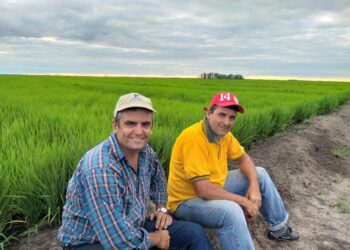 El entrerriano Víctor Odiard se cansó de pagar fortunas para regar y mudó su siembra de arroz a Corrientes