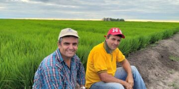 El entrerriano Víctor Odiard se cansó de pagar fortunas para regar y mudó su siembra de arroz a Corrientes