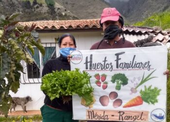 Yelmi Urrutia impulsa las huertas en Venezuela: “Hay una magia que se instala en las familias que deciden cultivar”