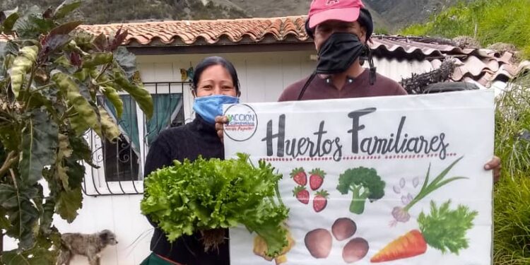 Yelmi Urrutia impulsa las huertas en Venezuela: “Hay una magia que se instala en las familias que deciden cultivar”