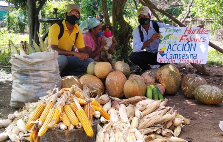 Yelmi Urrutia impulsa las huertas en Venezuela: “Hay una magia que se instala en las familias que deciden cultivar”