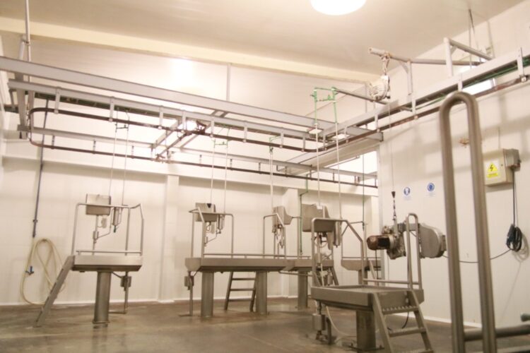 Llegaron a ser 400, luego resistieron 15 y ahora llegan a 80: El renacer de un frigorífico cooperativo en la Patagonia