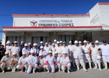 Llegaron a ser 400, luego resistieron 15 y ahora llegan a 80: El renacer de un frigorífico cooperativo en la Patagonia