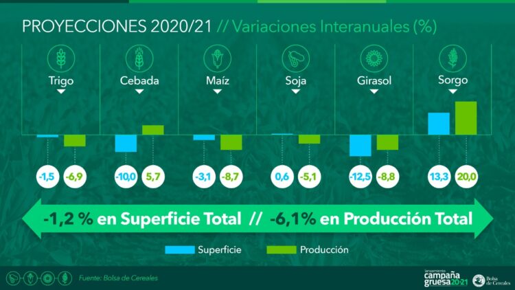 Si las lluvias acompañan, para 2021 habría una cosecha de 120 millones de toneladas y exportaciones por 25.000 millones de dólares