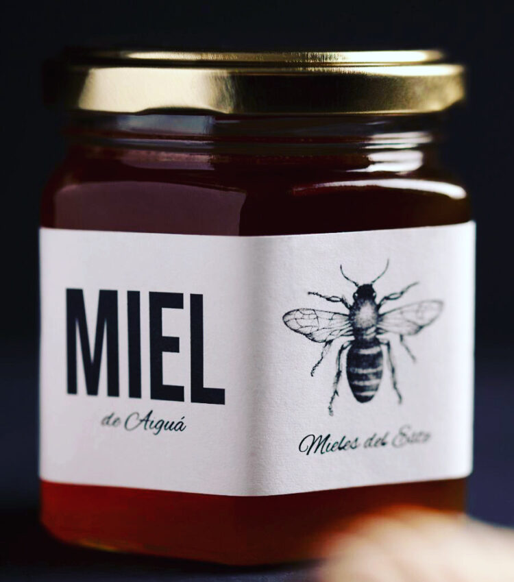 En Maldonado una pequeña cooperativa hace permapicultura y productos vanguardistas a partir de la miel