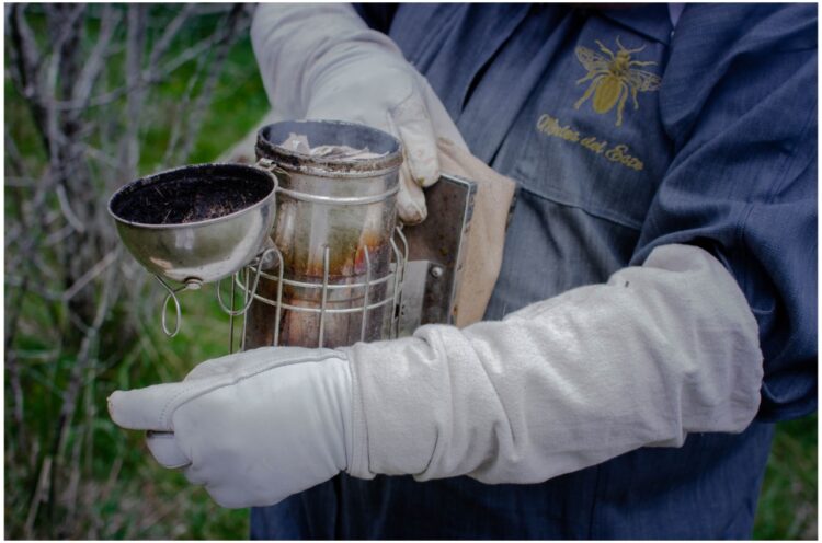 En Maldonado una pequeña cooperativa hace permapicultura y productos vanguardistas a partir de la miel