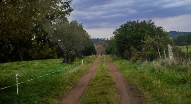 En Maldonado una pequeña cooperativa hace permapicultura y productos vanguardistas a partir de la miel