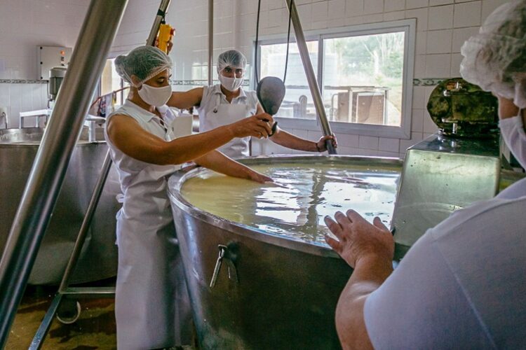 Misiones apuesta a procesar la leche en la provincia y apuntala la producción local de quesos