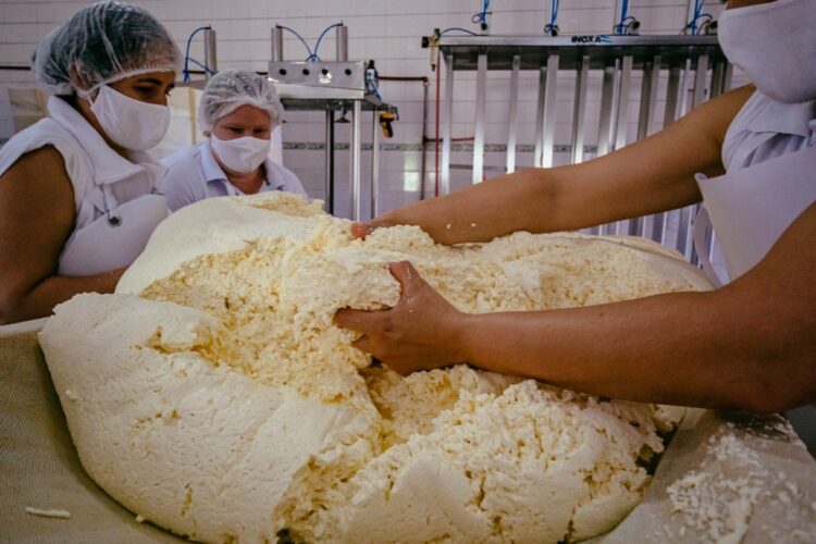Misiones apuesta a procesar la leche en la provincia y apuntala la producción local de quesos