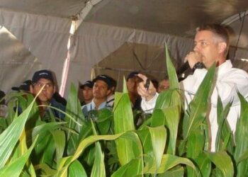 Alejandro Tozzini nos explicó el verbo de moda en el agro: “Hay que descarbonizarse. Es inminente e ineludible”