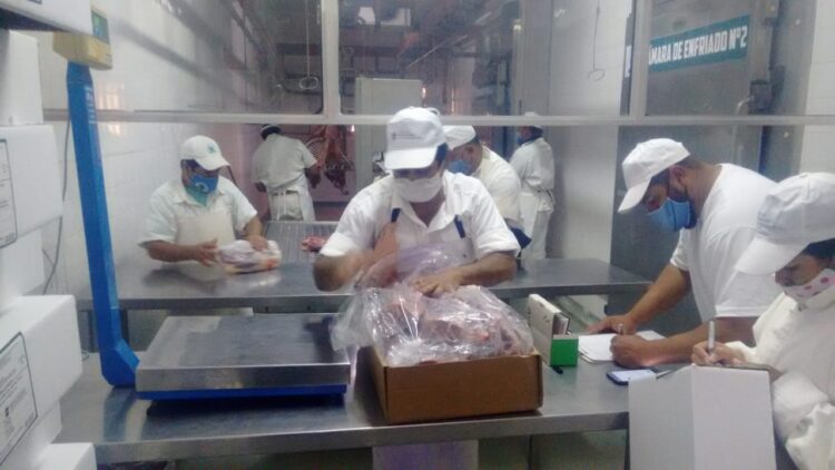 Los chivos del Impenetrable viajan a Bahamas sin escalas: Chaco retoma la exportación de carne caprina