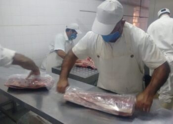 Los chivos del Impenetrable viajan a Bahamas sin escalas: Chaco retoma la exportación de carne caprina