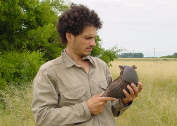 Agustín Abba nos revela el gran enigma de los silobolsas: ¿Fueron los peludos o las mulitas?