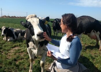 Laura y Marina trabajan para realizar el mejor diagnóstico que tiene la actividad tambera:  La Encuesta Lechera del INTA