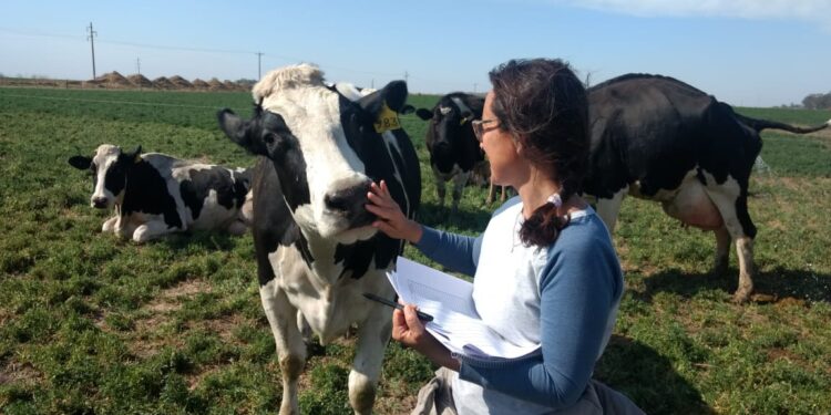 Laura y Marina trabajan para realizar el mejor diagnóstico que tiene la actividad tambera:  La Encuesta Lechera del INTA